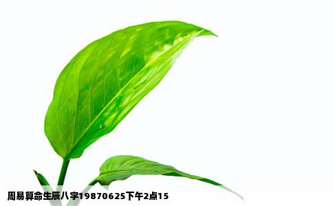 周易算命生辰八字19870625下午2点15