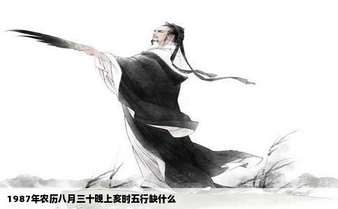 1987年农历八月三十晚上亥时五行缺什么