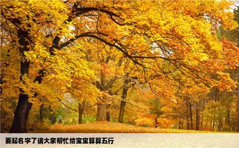 要起名字了请大家帮忙给宝宝算算五行