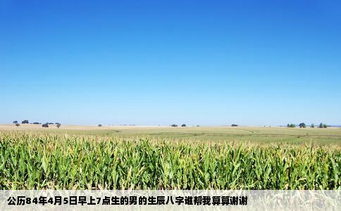 公历84年4月5日早上7点生的男的生辰八字谁帮我算算谢谢