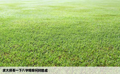 求大师看一下八字婚姻何时能成