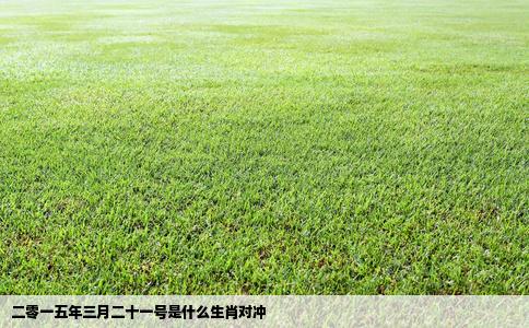 二零一五年三月二十一号是什么生肖对冲