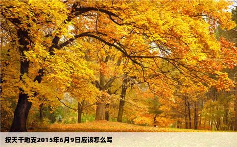按天干地支2015年6月9日应该怎么写