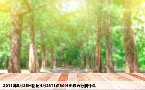 2011年5月25日阴历4月2311点30分小孩五行属什么