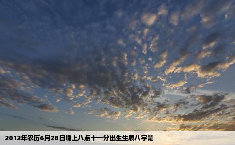 2012年农历6月28日晚上八点十一分出生生辰八字是