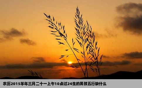 农历2015羊年三月二十一上午10点过24生的男孩五行缺什么