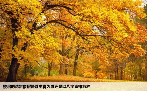 楼层的选定楼层是以生肖为准还是以八字喜神为准