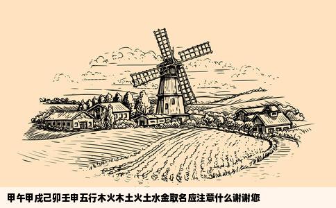 甲午甲戍己卯壬申五行木火木土火土水金取名应注意什么谢谢您