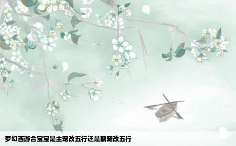 梦幻西游合宝宝是主宠改五行还是副宠改五行
