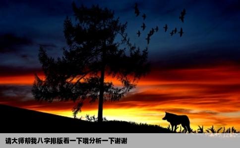 请大师帮我八字排版看一下哦分析一下谢谢