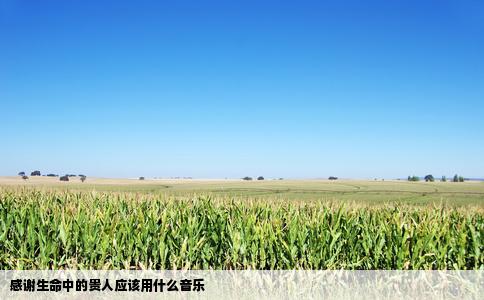 感谢生命中的贵人应该用什么音乐