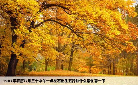 1987年农历八月三十中午一点左右出生五行缺什么帮忙算一下