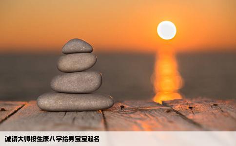 诚请大师按生辰八字给男宝宝起名