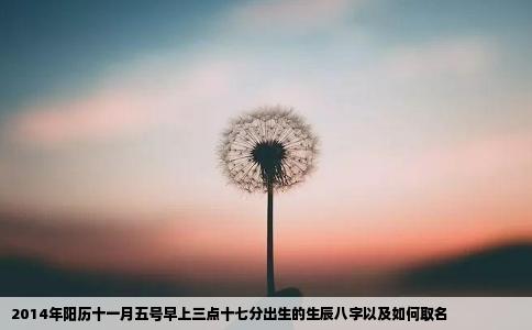 2014年阳历十一月五号早上三点十七分出生的生辰八字以及如何取名
