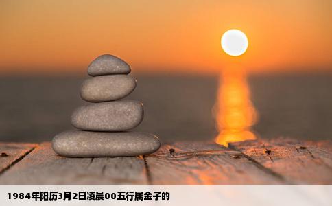 1984年阳历3月2日凌晨00五行属金子的