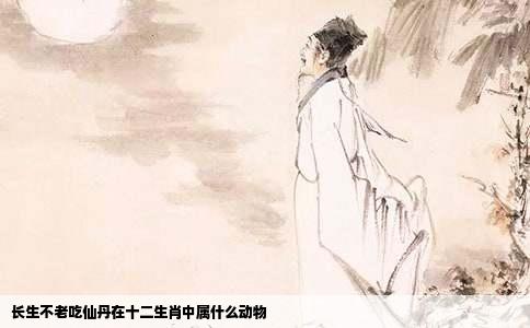 长生不老吃仙丹在十二生肖中属什么动物
