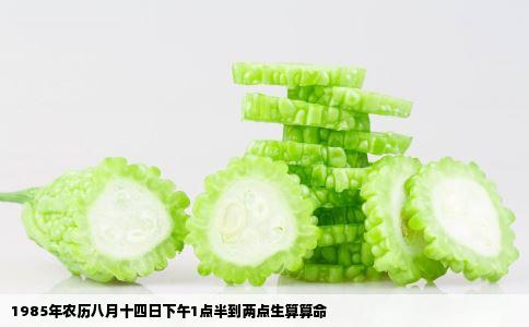 1985年农历八月十四日下午1点半到两点生算算命