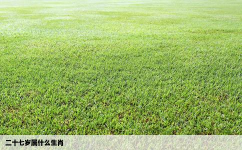 二十七岁属什么生肖