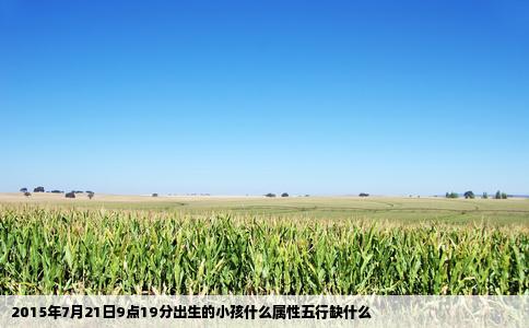 2015年7月21日9点19分出生的小孩什么属性五行缺什么