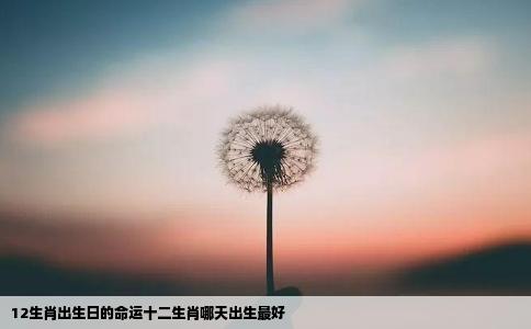 12生肖出生日的命运十二生肖哪天出生最好