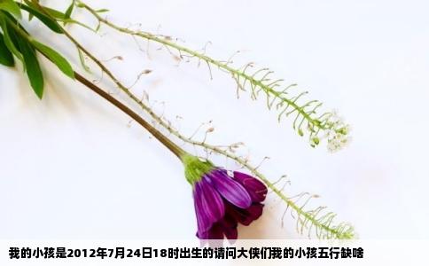 我的小孩是2012年7月24日18时出生的请问大侠们我的小孩五行缺啥