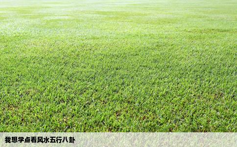 我想学点看风水五行八卦