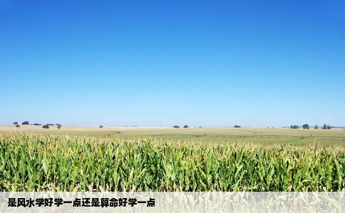 是风水学好学一点还是算命好学一点