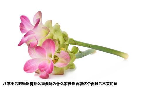 八字不合对婚姻有那么重要吗为什么家长都要求这个而且合不来的话