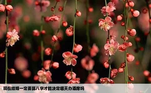 现在结婚一定要算八字才能决定哪天办酒席吗