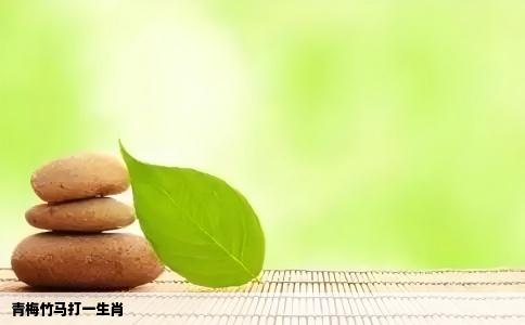 青梅竹马打一生肖