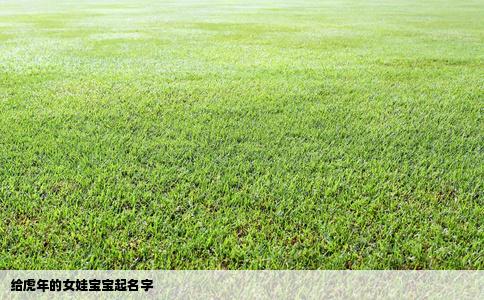 给虎年的女娃宝宝起名字