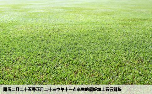 阳历二月二十五号正月二十三中午十一点半生的最好加上五行解析