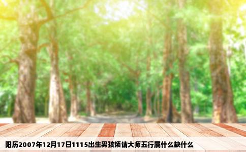 阳历2007年12月17日1115出生男孩烦请大师五行属什么缺什么