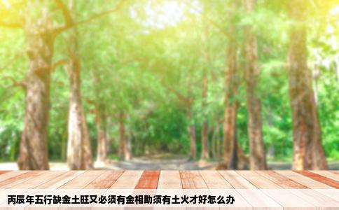 丙辰年五行缺金土旺又必须有金相助须有土火才好怎么办