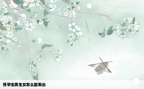 怀孕生男生女怎么能看出