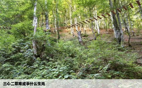 三心二意难成事什么生肖