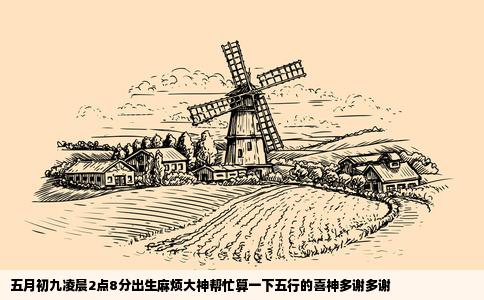 五月初九凌晨2点8分出生麻烦大神帮忙算一下五行的喜神多谢多谢