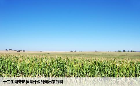 十二生肖守护神是什么时候出来的啊