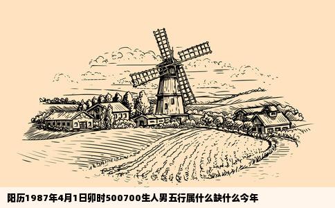 阳历1987年4月1日卯时500700生人男五行属什么缺什么今年