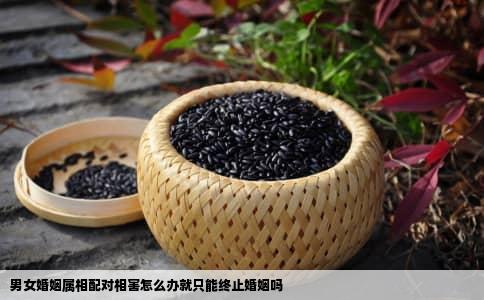 男女婚姻属相配对相害怎么办就只能终止婚姻吗