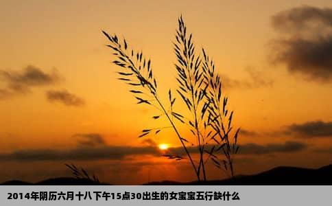 2014年阴历六月十八下午15点30出生的女宝宝五行缺什么