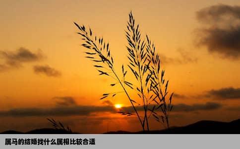属马的结婚找什么属相比较合适
