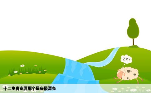 十二生肖专属那个星座最漂亮