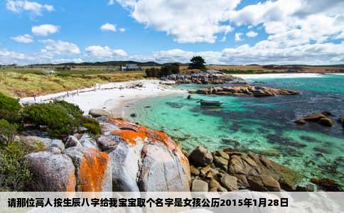 请那位高人按生辰八字给我宝宝取个名字是女孩公历2015年1月28日