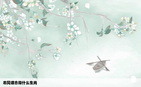 志同道合指什么生肖