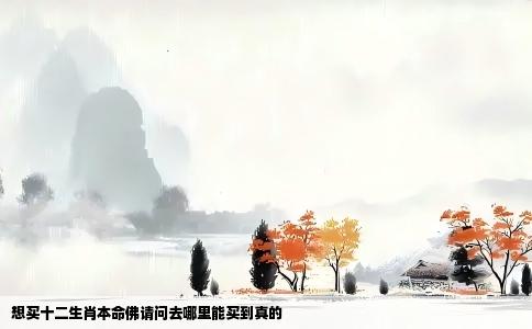 想买十二生肖本命佛请问去哪里能买到真的