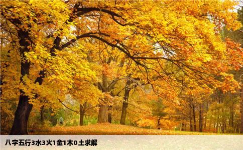 八字五行3水3火1金1木0土求解