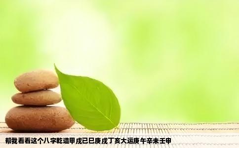 帮我看看这个八字乾造甲戌已巳庚戌丁亥大运庚午辛未壬申