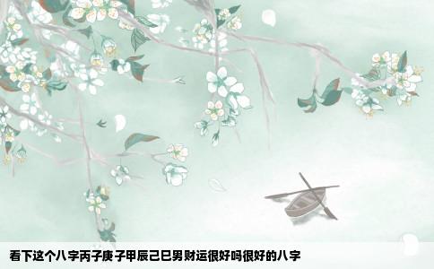 看下这个八字丙子庚子甲辰己巳男财运很好吗很好的八字