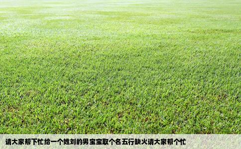 请大家帮下忙给一个姓刘的男宝宝取个名五行缺火请大家帮个忙